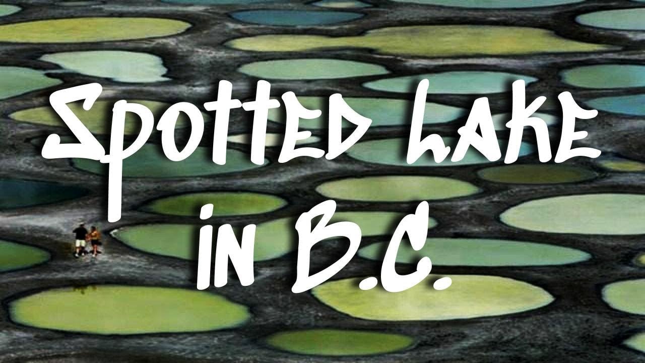 Spotted Lake in British Columbia || Canada