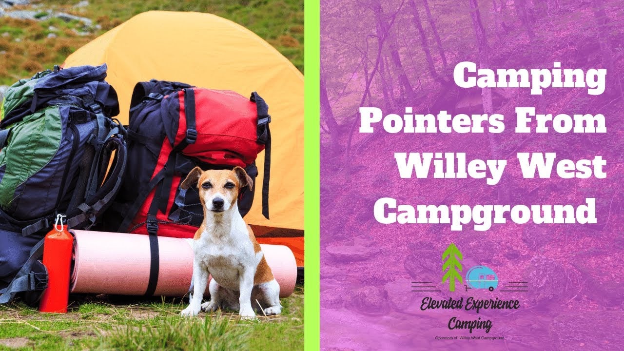 Alberta Campgrounds  | Camping Pointers From Willey West Campground