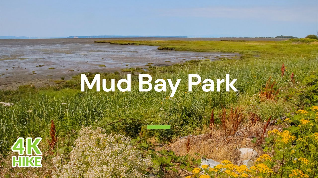 4K Walk - Mud Bay Park in Surrey, BC - Vancouver Trails