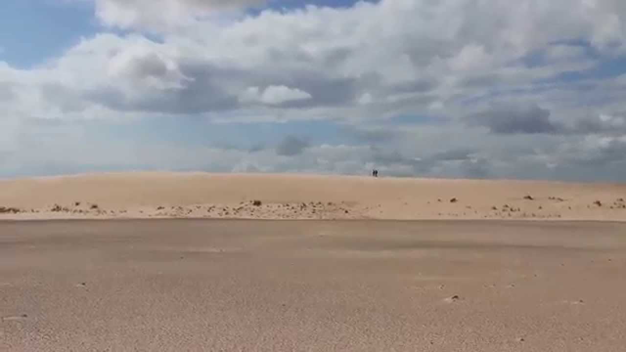 The Athabasca Sand Dunes