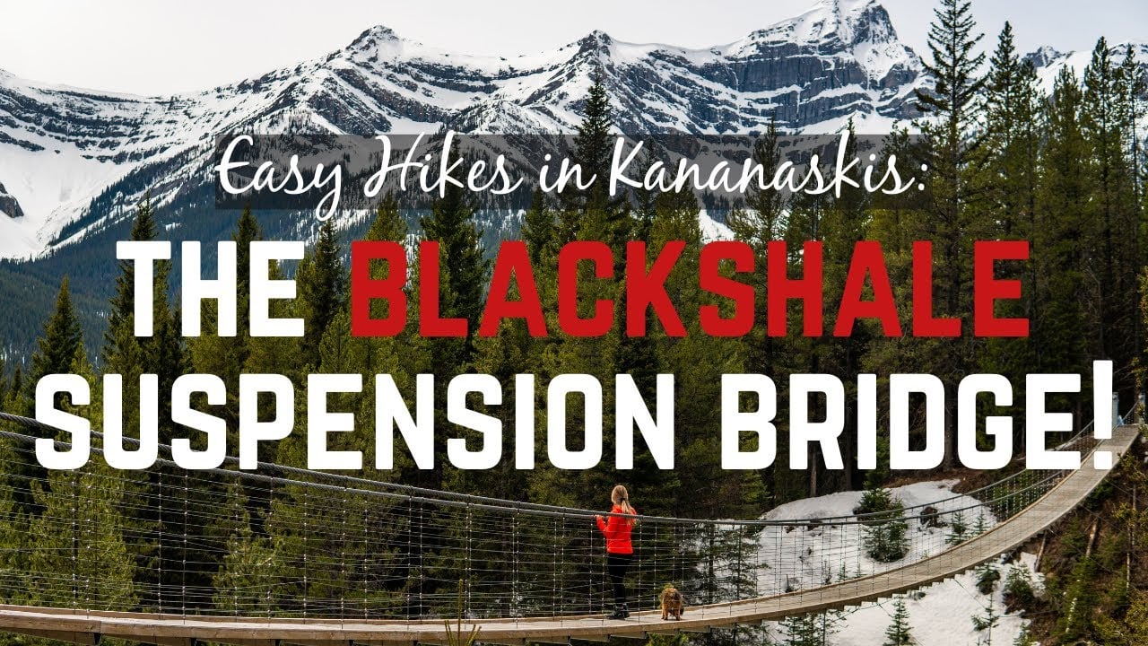 Kananaskis Hiking: Exploring the Blackshale Suspension Bridge!