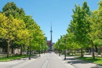 Scenic Toronto park with CN Tower in the background.