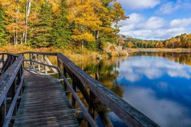 Serene autumn lake with reflections in Ontario Park