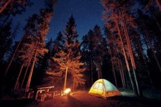 Starry night camping with bonfire in Banff National Park.