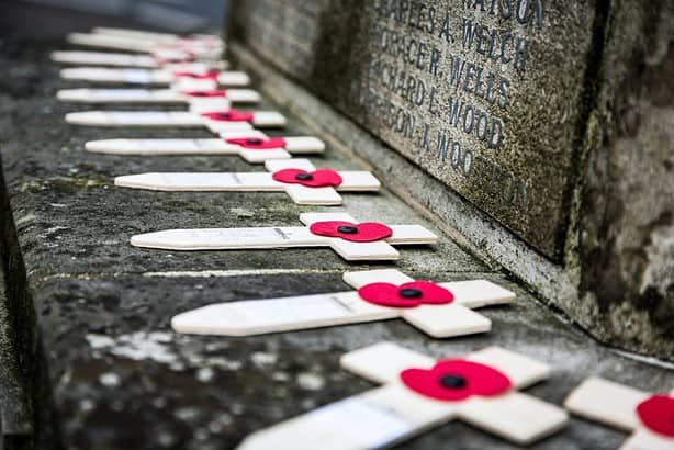 Poppies lined up for Remembrance Day in Canada.