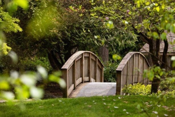 Wooden bridge on tranquil path in Surrey park