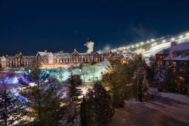Illuminated snowy resort at night with trees