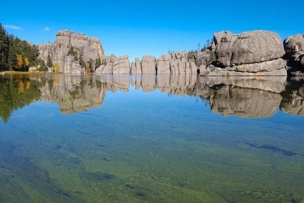 Tranquil forest lake with mirror-like reflection and clear blue sky.