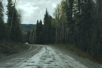 Scenic forest road in Prince George, British Columbia.