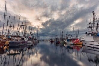 Sailboats moored in serene Canadian marina at dusk.