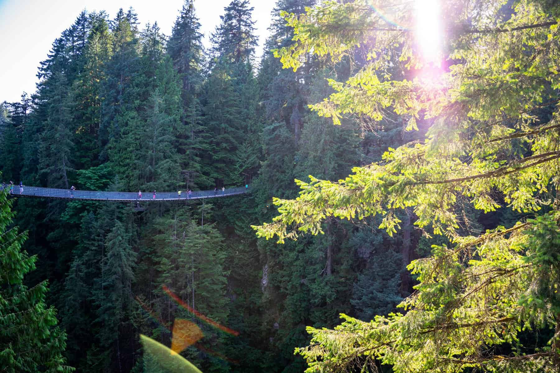 Capilano Suspension Bridge Park