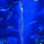 vancouver aquarium