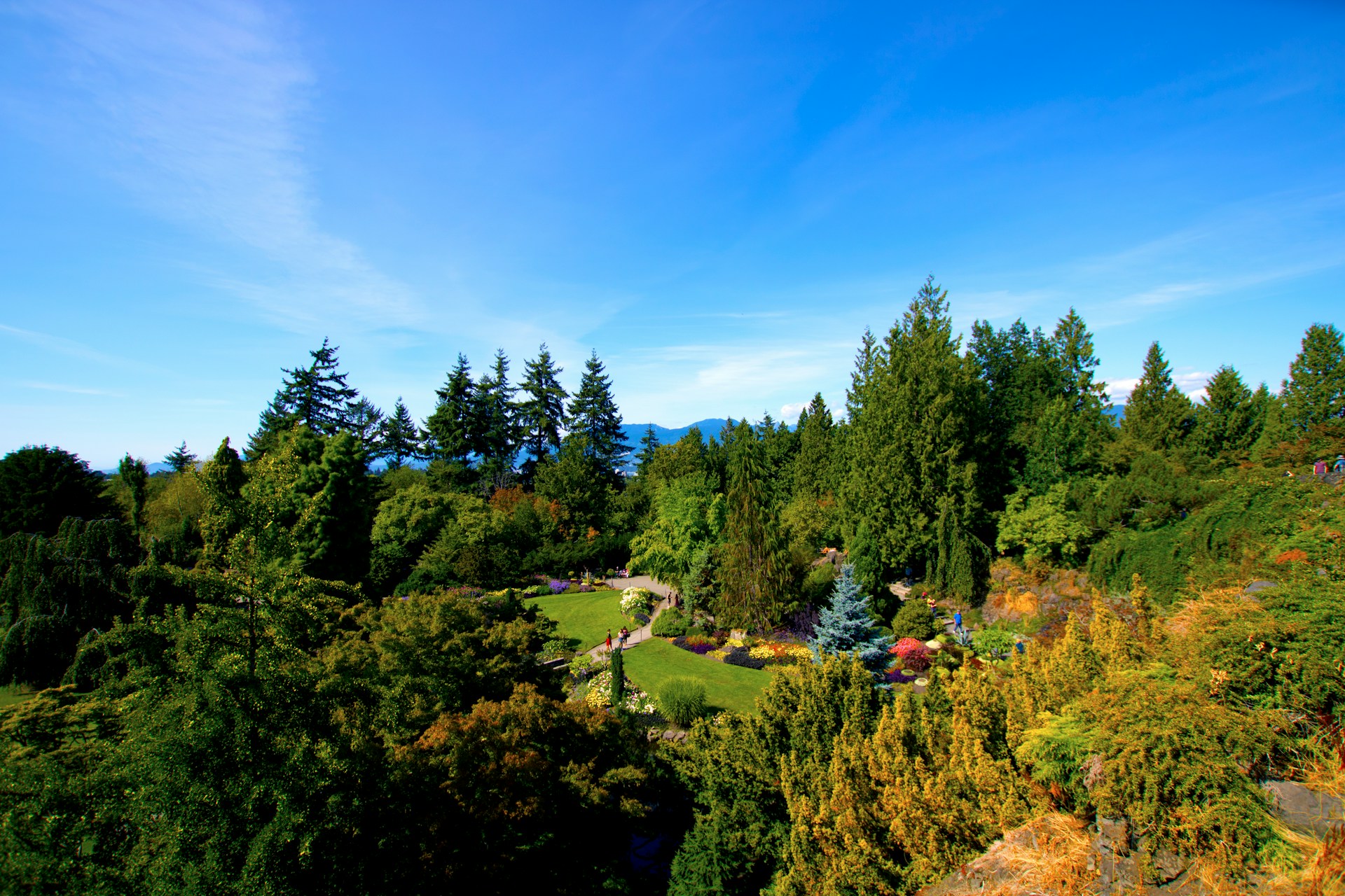 Vancouver’s Crown Jewel: The Ultimate Guide To Bc Place