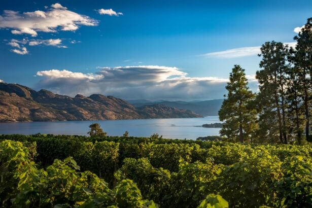 kelowna camping