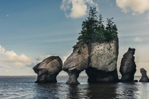 bay of fundy