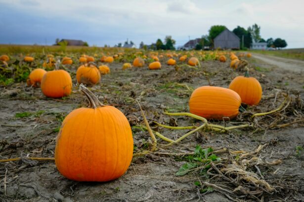 canada halloween