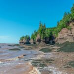 bay of fundy
