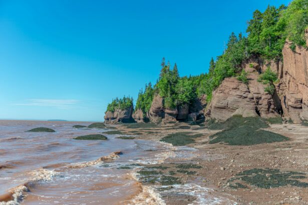 bay of fundy